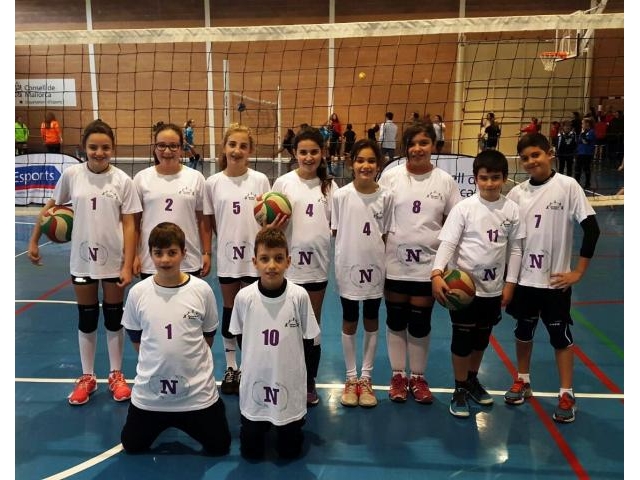 Nauplastic pratrocinador C.V. Consell